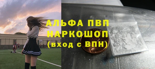 прущие грибы Абдулино