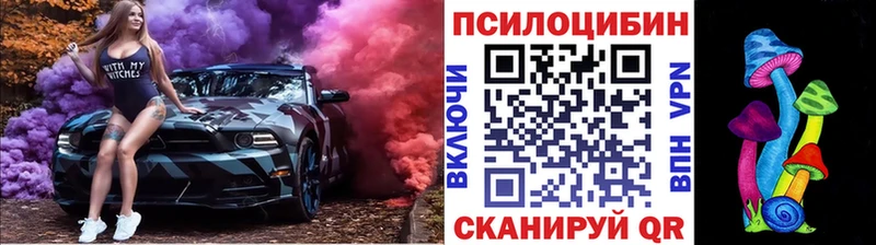 Галлюциногенные грибы мицелий мега ссылки Новомичуринск